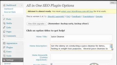 Crowd Mountain Bootcamp Module 02 Step 16: All in One SEO Pack