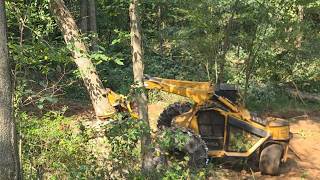 Great week cutting hardwood