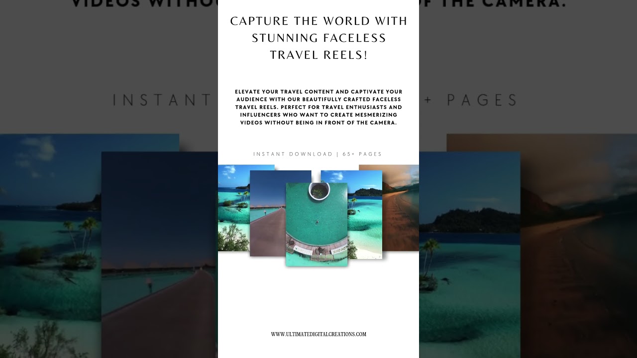 Unlock Your Professional Potential: The Ultimate PLR Digital Bundle