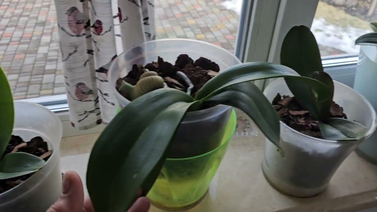 Так радует когда тепло.