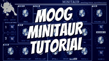 Moog Minitaur Tutorial (Nederlands)