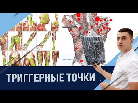 Видео: Abductor Digiti Minimi (Foot) Анатомия, функция и схема - Карты тела