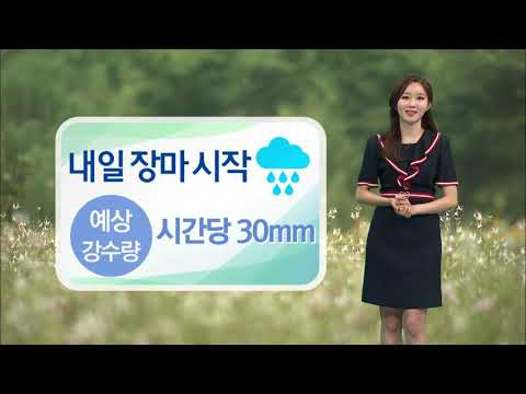 기상캐스터 윤예담의 2019년 7월 9일 날씨정보