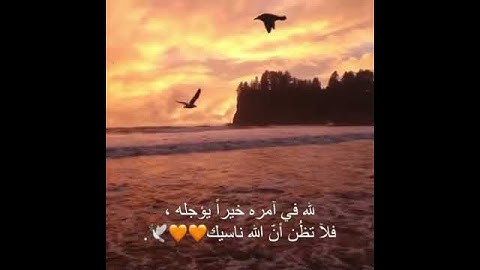 نون والقلم وما يسطرون تلاوة القارئ سالم الرويلي