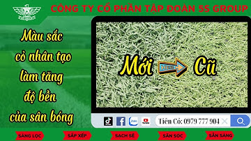 Màu sắc cỏ nhân tạo ảnh hưởng thế nào tới độ bền của sân bóng