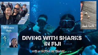 SWIMMING WITH SHARKS | DAY 5 IN FIJI | In pacific harbour/pearl harbour