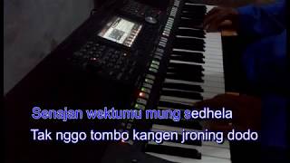 SEWU KUTO - Didi Kempot Karaoke Nada Cewek Yamaha PSR