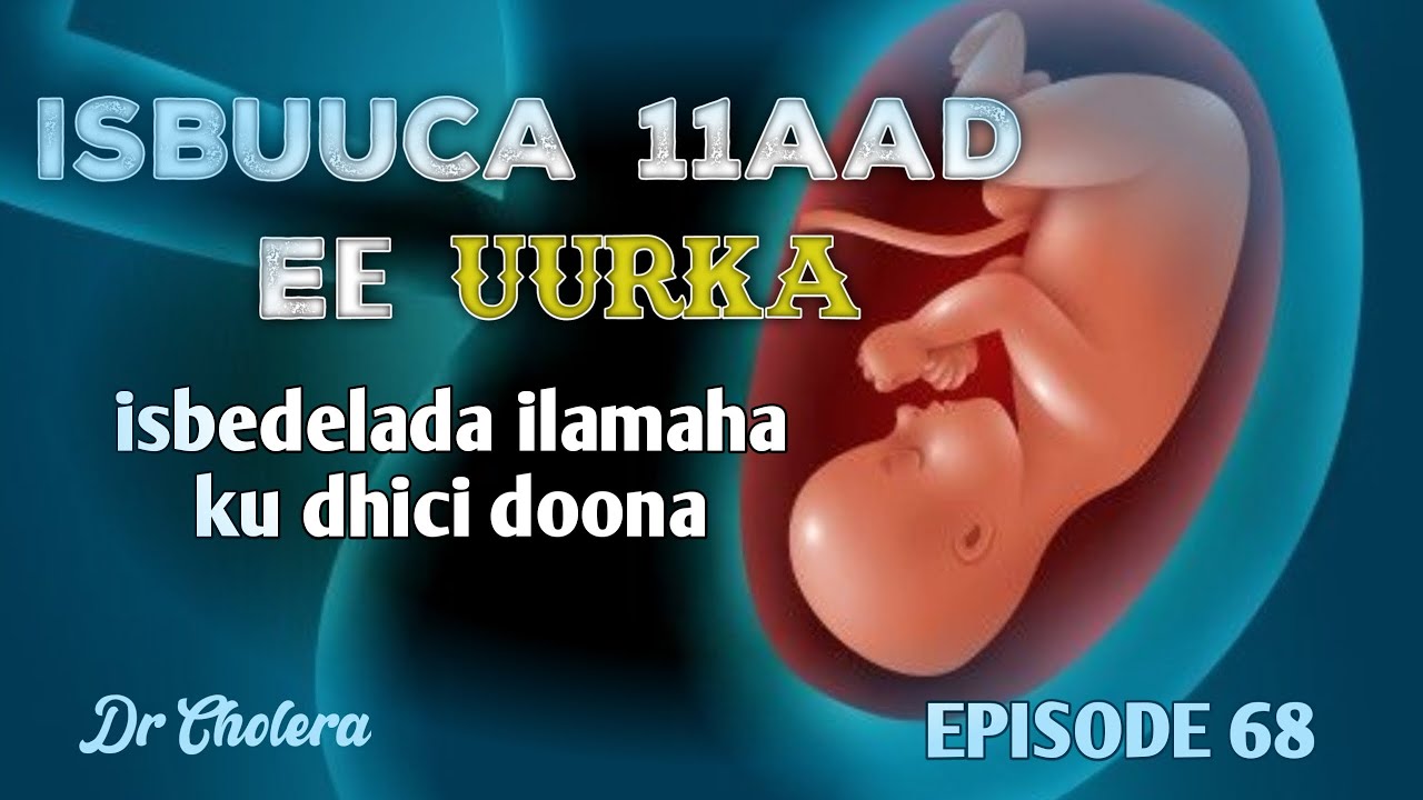 ISBUUCA 11AAD EE UURKA || ISBEDELADA ILAMAHA KU DHICI DOONA|| WALACII OO U DHAMAAN DOONO HOOYADA ||