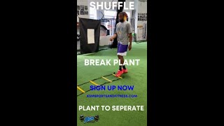 BREAK PLANT TO SEPARATE