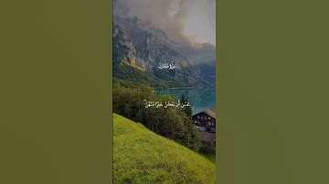 راشد العفاسي يايها الذين امنو لا يسخر قوم من قوم تلاوة من سورة الحجرات ..♥️✨