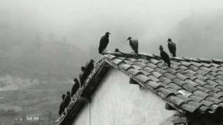 Exclusive  Original Song Don't Forget by Claraneva Unsigned Scottish Singer