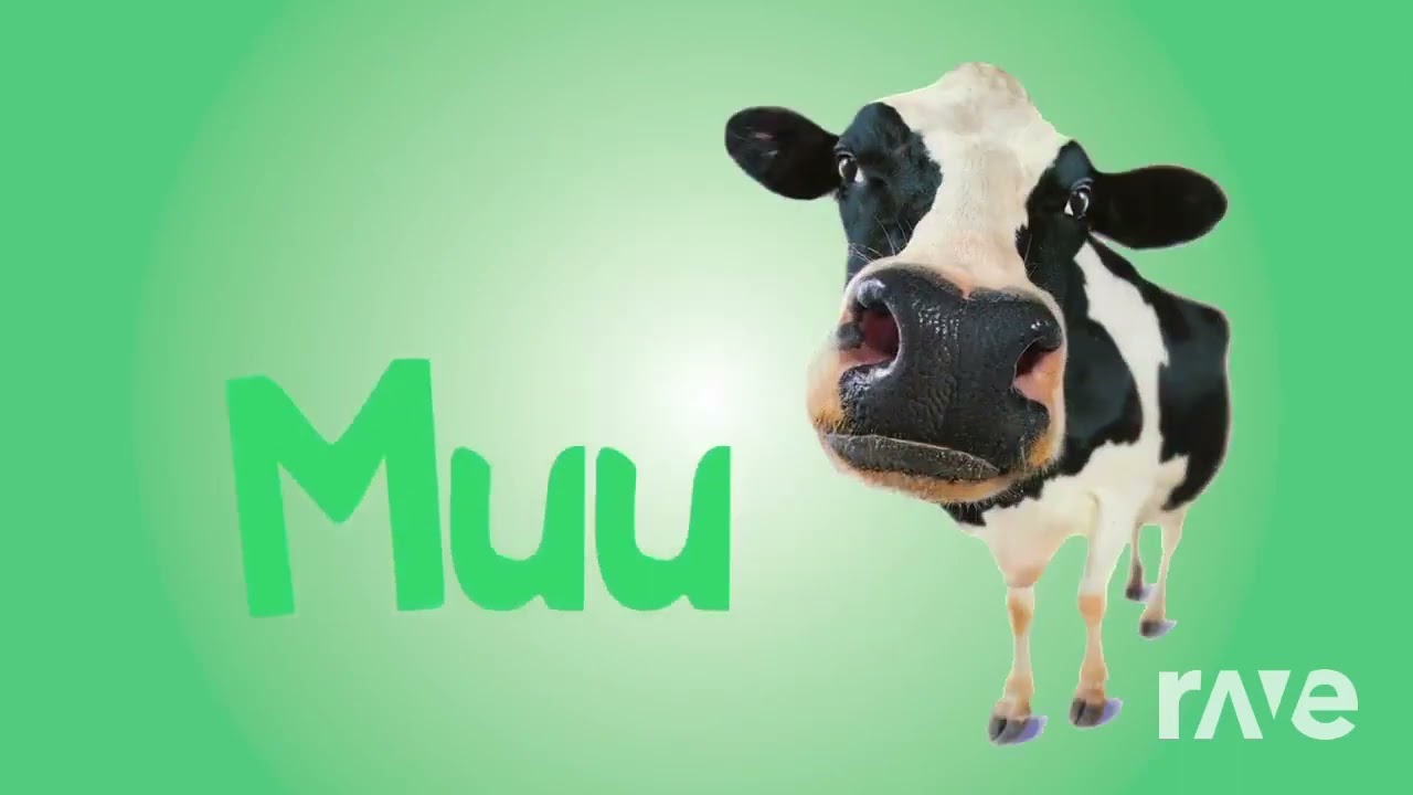 pollito pio mov tony