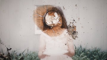 To languish - Transfever ft. Elsa Lezzagon