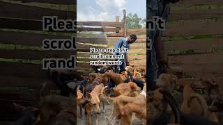 Please donate today link in the bio