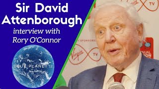 Sir David Attenborough interview with Rory OConnor on Blue Planet II and plastic in the ocean
