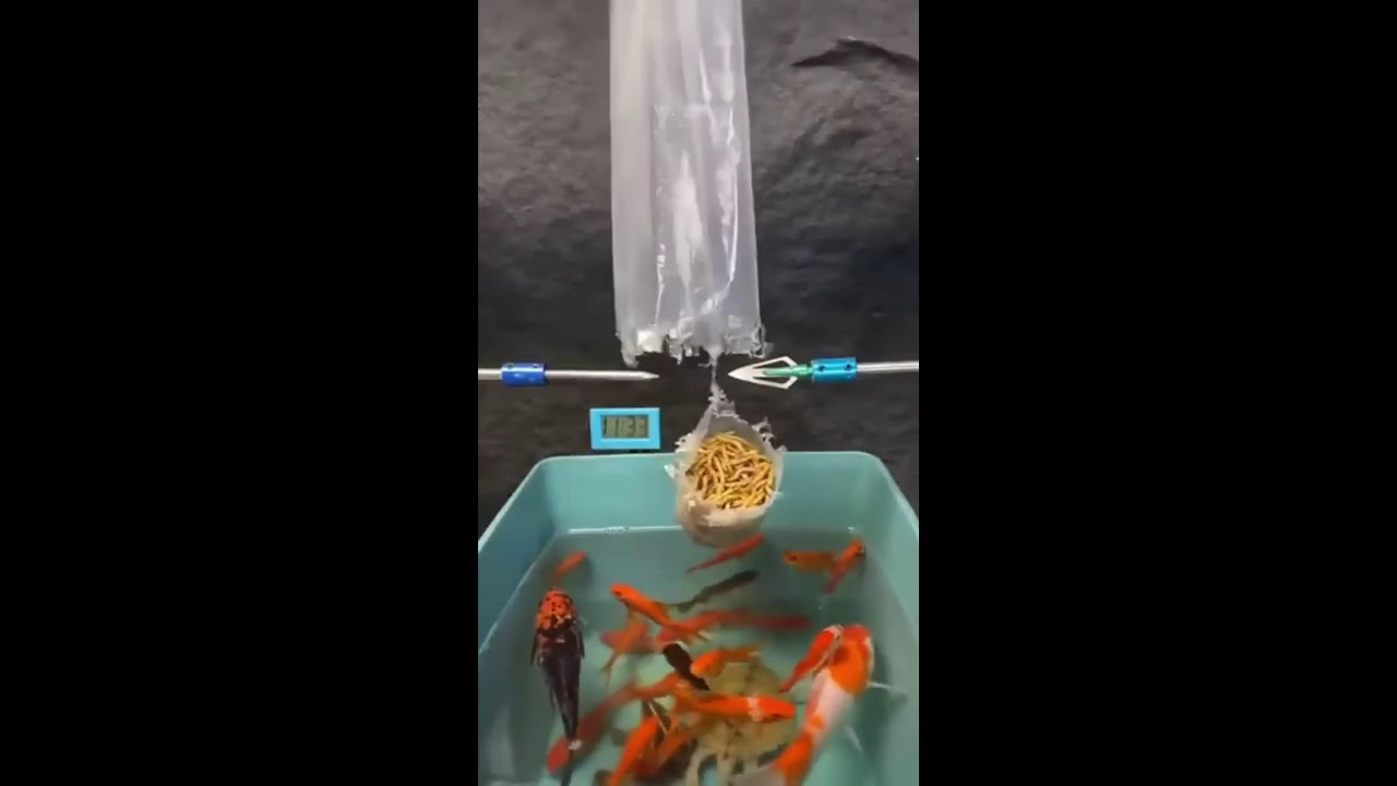 СТРИМ ШОРТС ИГРАЕМ