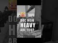 How heavy is Doc? Zedaph asked Docm77 after his fall caused an earthquake Hermitcraft 8
