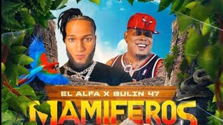 EL ALFA EL JEFE FT BULIN 47 MAMIFERO (VIDEO OFICIAL)