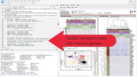 How to Create a Single-Cell Next-Generation Clustered Heat Map in R