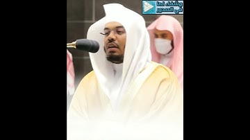 تلاوة خاشعة للشيخ ياسر الدوسري( يوم يسمعون الصيحة بالحق )