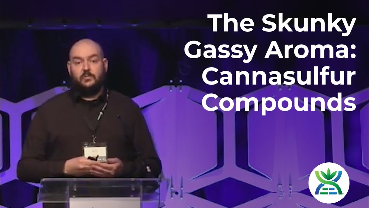 Cannasulfur Compounds: A New Class of Secondary Metabolites Discovered in Cannabis - Tj Martin