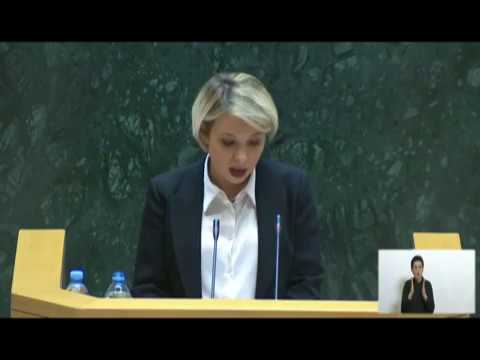 2019 წლის შეუსრულებელი რეკომენდაციები შშმ პირებთან მიმართებით