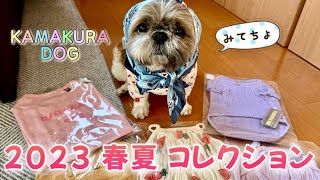 【シーズー】可愛い犬服お得にお買い物したよ♪鎌倉ドック、セールで6着ゲット！