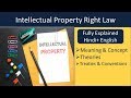 Intellectual Property Law I Concept I Theories & Conventions