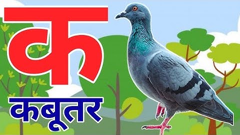 क से कबूतर K se kabutar ख से खरगोश के ख ग हिंदी वर्णमाला #hindirhymes #hindi_varnmala