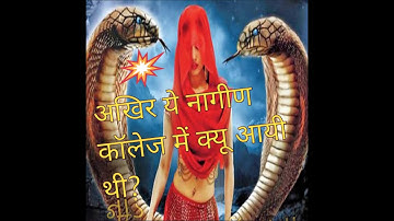 Indian rat snake at KTHM College Nashik