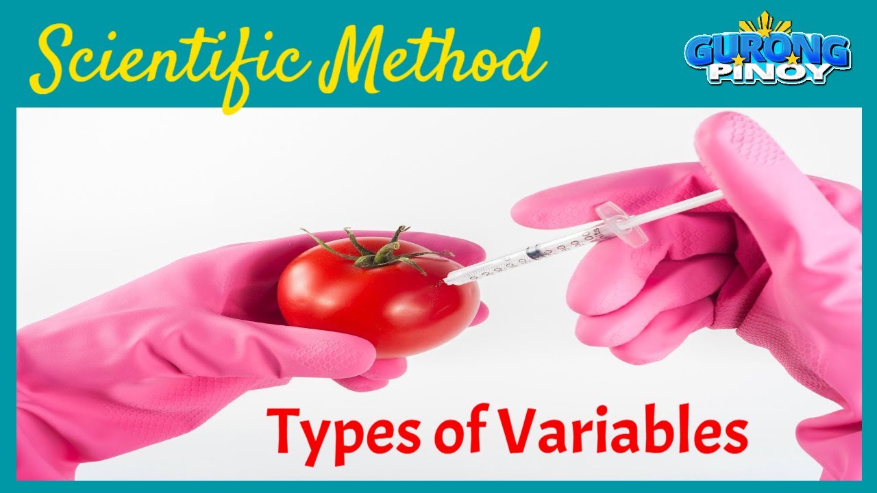 Scientific Method Steps Part 3 (Types of Variables) - YouTube