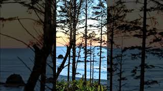 Ruby Beach (near Forks), Washington State USA (Tsunami Advisory Area)
