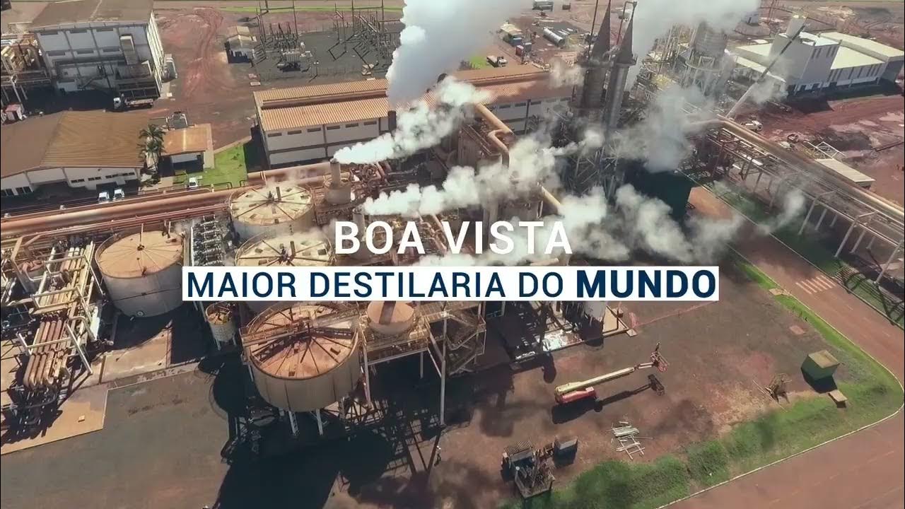 São Martinho apresenta SmartDDG e SmartLio. A usina SM é uma das associadas ao Sifaeg. YouTube São Martinho apresenta SmartDDG e SmartLio. A usina SM é uma das associadas ao Sifaeg. YouTube