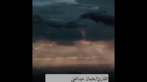 القارئ/عثمان عبد الغني الاركاني.