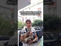Sözün anlamını anladınız mı yorumlarda belirtin ❤️ #cat #kedi