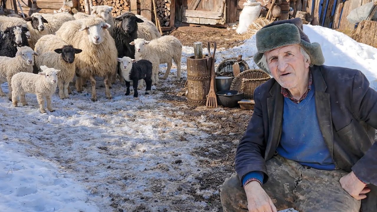 Все життя з кіньми та вівцями: історія Петра Михайловича з присілка Мала Прочка