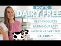 How To: DAIRY FREE TIPS for Acne (Dining Out Easily, BEST Substitutes & Getting Your Calcium)
