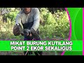 Mikat Burung Kutilang Terbaru