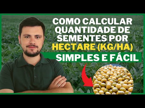 Vídeo: Números de plantio de sementes - Quantas sementes por cova ao iniciar as plantas