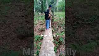 Download Mp3 Belajar halang rintang guys biar kuat menghadapi rintangan kehidupan#lucu #funny #janganlupabahagia Gudang lagu Download Mp3 Belajar halang rintang guys biar kuat menghadapi rintangan kehidupan#lucu #funny #janganlupabahagia