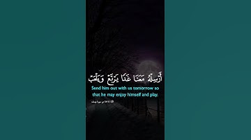 تلاوة خاشعة... آيات من الذكر الحكيم..... قرآن يتلى آناء الليل وأطراف النهار. أرح سمعك