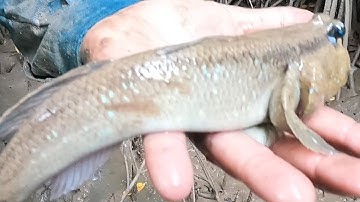 BẮT CUA BIỂN CÂU CÁ THÒI LÒI BIỂN KHỦNG DÍNH THẤY MÊ LUÔN @**@TÙNG NHÀ BÈ