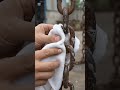 #ai #clear #newtrend
