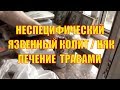 Неспецифический язвенный колит / Лечение травами / Народная медицина / НЯК