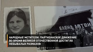 Народные мстители. Партизанское движение во время Великой Отечественной достигло небывалых размахов