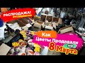 Бизнес на Тюльпанах 8 Марта. Продажа Цветов на Улице.#15