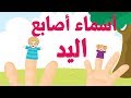 أغنية تعليم اللغة العربية للأطفال أسماء الأصابع - Famille des doigts arabe - Arab finger family song