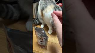 Voice キャットヴォイス ローストチキン＆ツナを食べるお花さん