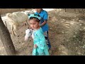 My Kids Playing with Goats at Home