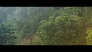 Mesmerizing#Rainfall#A Neature#Weather #Video